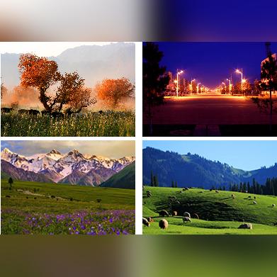 最新域名发展对互联网疆界的影响与趋势探究