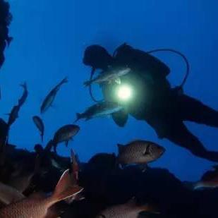 离潜最新通知详解，全方位数据解析