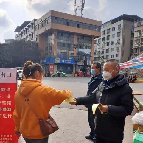 全球疫情传播人数背后的真相与挑战最新数据更新