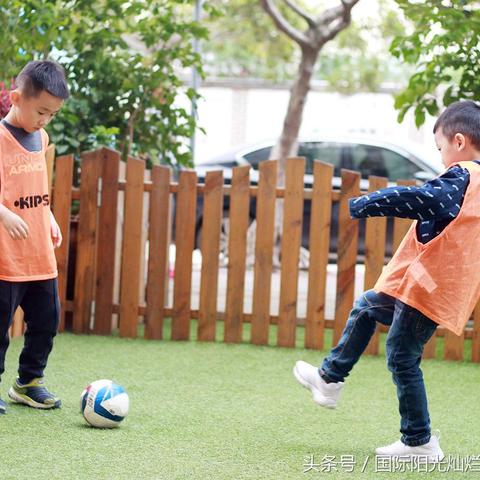 网课时间解析及未来展望