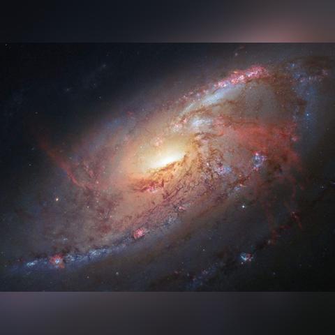 尘埃最新游戏深度探索与评测报告