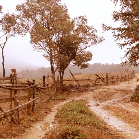 探寻者记最新探索未知世界的奥秘之旅