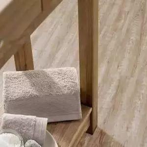 非洲最新局势报告概览