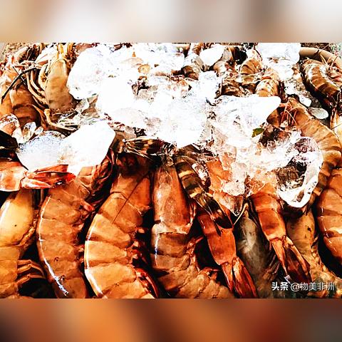 非洲最新局势报告概览