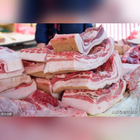 非洲最新局势报告概览