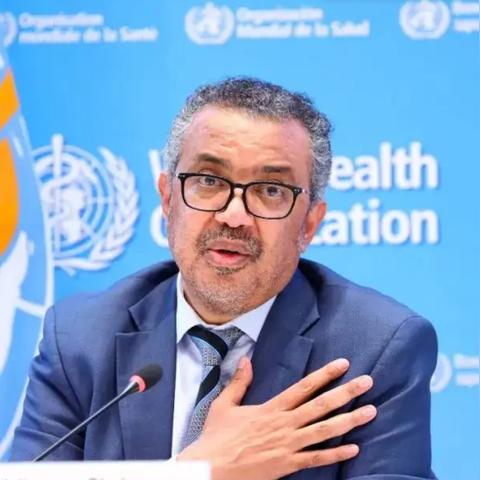 中美疫苗最新进展探讨，中国疫苗进展概览