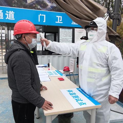 全球疫情最新动态，现状分析与未来展望