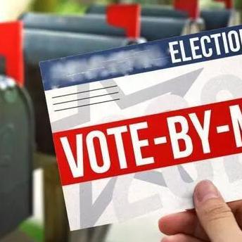 美国最新选票消息全面解读