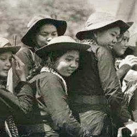 数字时代下的网络战争新态势，最新H网战揭秘