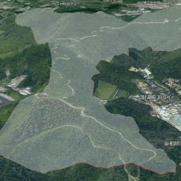 高长见最新数据分析报告发布，深度解读数据趋势