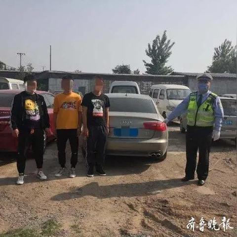 最新年检图数据分析报告发布