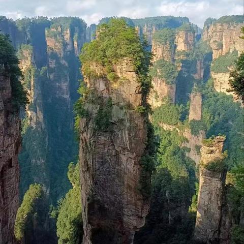 最新阿凡达,数字时代全新形象与超越想象技术