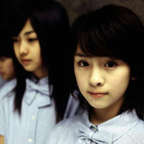 日本最新梨品种简介概述