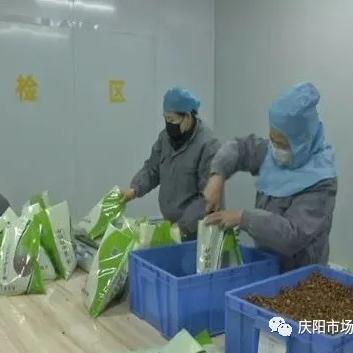 最新药品变更报告，研发进展与监管动态揭秘