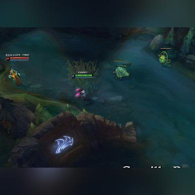 卡蜜尔研究报告全新发布