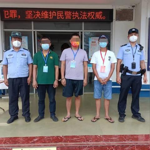 五日疫情更新报告速递