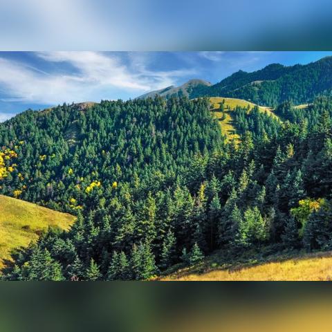 陕西最新动态，新动向与发展盛景探索