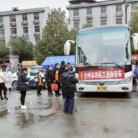 返岗最新时间表报告解析，数据详实呈现