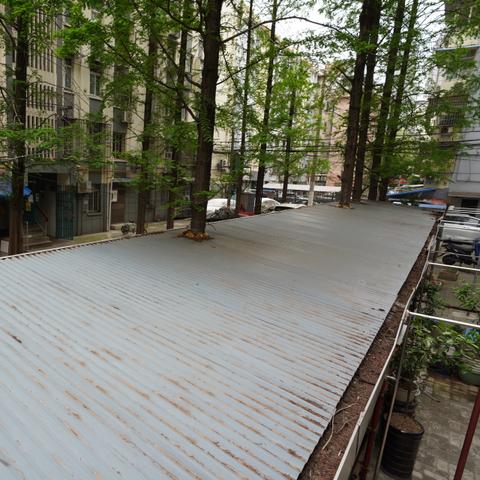 防疫新要求与公共环境安全构建,多方影响及策略