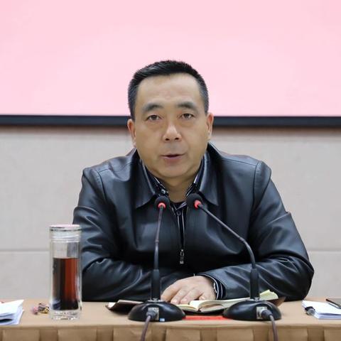 最新黄码区域分析报告概览