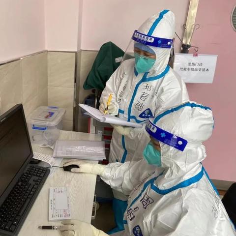 最新黄码区域分析报告概览