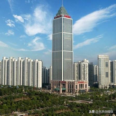 最新黄码区域分析报告概览