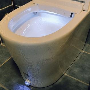 最新便厕图分析报告及趋势解读