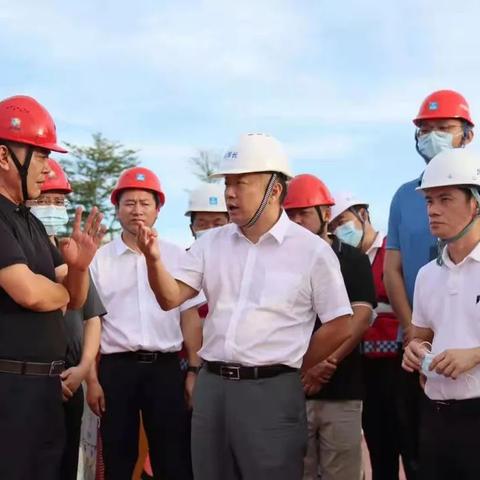 鹅埠最新疫情全面解析报告