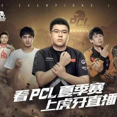 韦神最新状况揭秘，深度解析进展