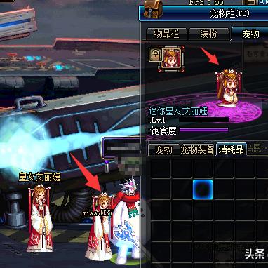 限时皮肤秘宝深度解析，最新数据与细节揭秘