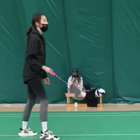 揭秘数字背后的故事,最新卡点王解析