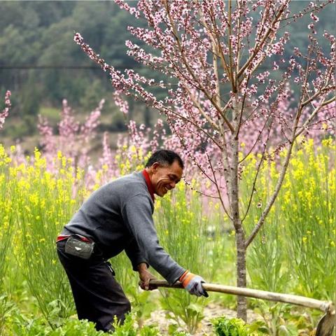 腾冲疫情最新数据报告发布