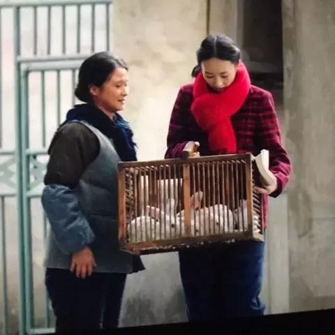 最新热播网趋势，数据揭示网络热潮揭秘