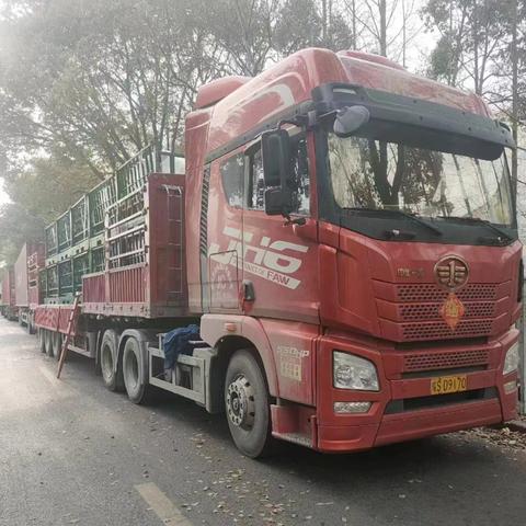 金山股份最新深度解析报告