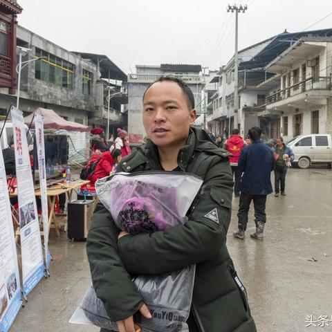 春节后招聘市场趋势与数据洞察