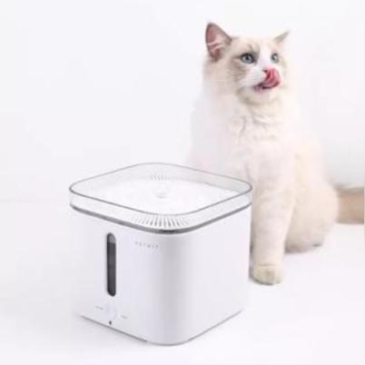 最新排石技术革新尿路结石治疗，高效安全！