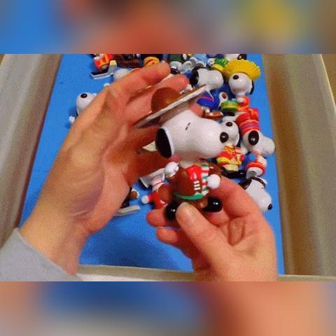 最新入粤消息深度解析,数据揭示发展动向