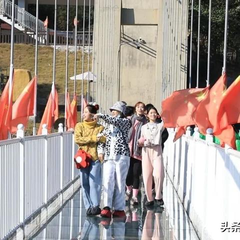 革新支付体验，最新收款盒数字革命先锋