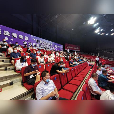 藁城区最新资讯速递