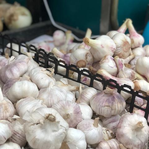 新发地市场最新动态视频发布，深度分析与趋势观察