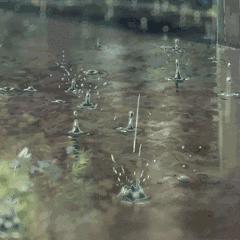 辽宁暴雨预警，最新报道与通知