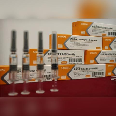 最新疫苗动态发布