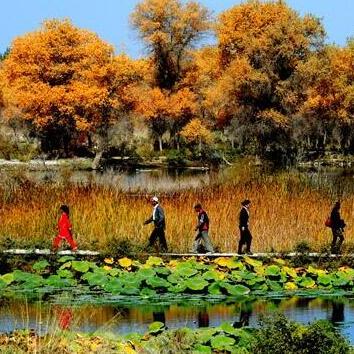 昆仑山新纪元揭秘，全面解读最新昆仑版本