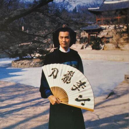 林诗音最新动态与成就概览