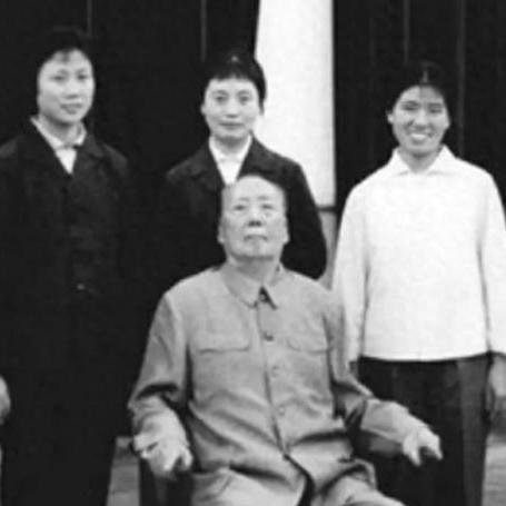 最新地震查询报告解析，地震活动与影响全面梳理