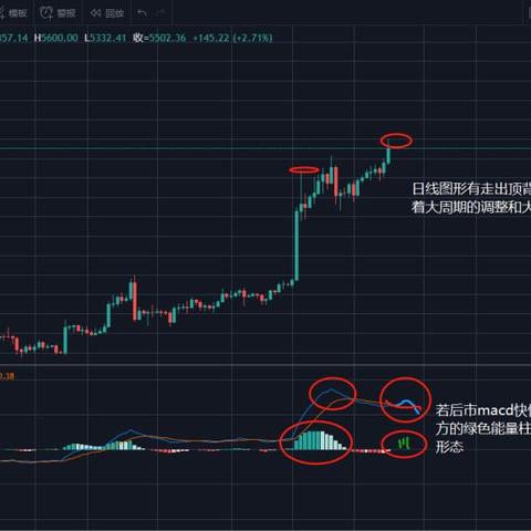 推特最新动态深度解析,数据趋势与社会影响