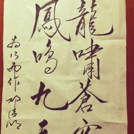 龙啸苍穹最新动态,数据揭示惊人变化进展