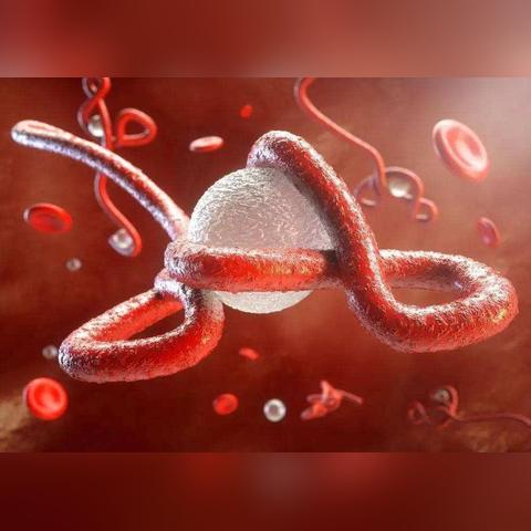 全球新冠疫情最新进展与未来展望（XXXX年XX月XX日报告）