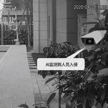 社区管控最新态势解析