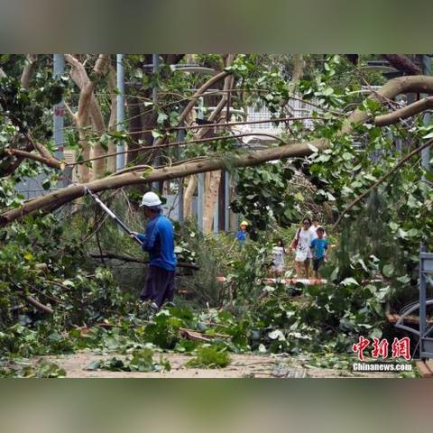 台风最新动态，全面详细报告来袭